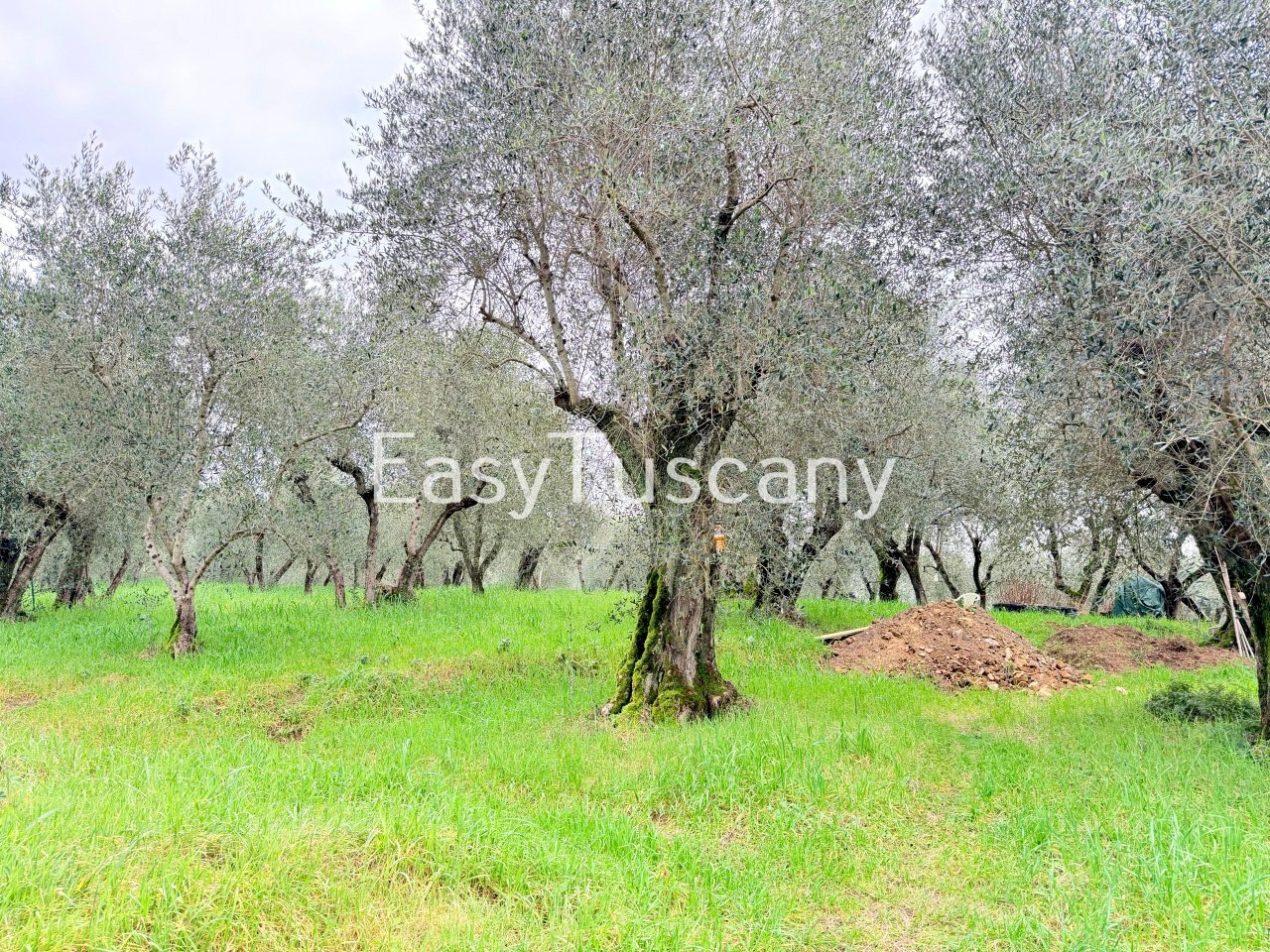 image00003.jpeg - Casa indipendente Via Maona 59, Montecatini-Terme - foto 3