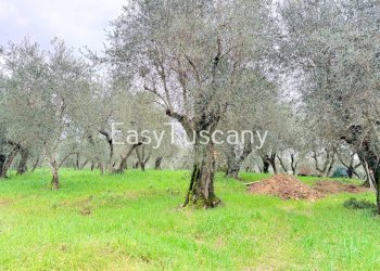 image00003.jpeg - Independent house Via Maona 59, Montecatini-Terme - photo 3