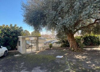 69042ecd-00e8-4eae-8c4f-9aba22ef6a82.jpg - Appartamento Via Rosario Livatino, Nettuno - foto 7