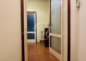 IMG_3938.JPG - Terratetto - Terracielo Seravezza - foto 3