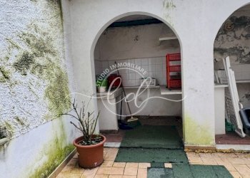 IMG_3951.JPG - Terratetto - Terracielo Seravezza - foto 16