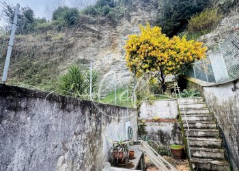 IMG_3958.jpg - Terratetto - Terracielo Seravezza - foto 23