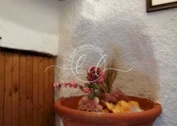 PHOTO-2026-02-10-15-30-44 3.jpg - Terratetto - Terracielo Stazzema - foto 13