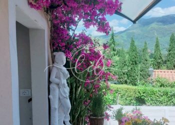 630561514_3041227729552057_5264825562654610563_n.j - Terratetto - Terracielo Camaiore - foto 3