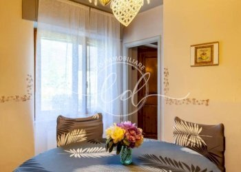 627662323_3041227162885447_2330861695980383399_n.j - Terratetto - Terracielo Camaiore - foto 12