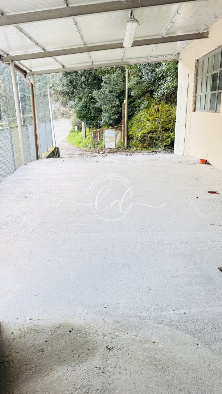 IMG_2777 3.jpg - Capannone Seravezza - foto 1