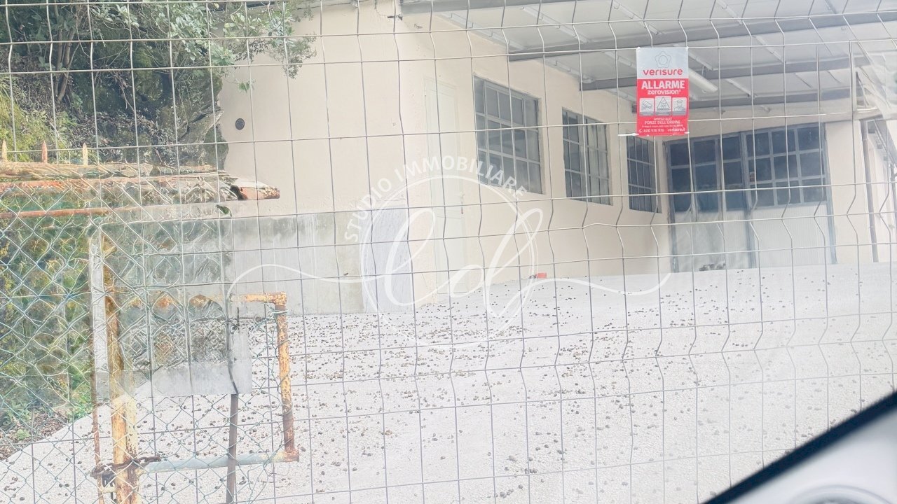 IMG_2553 2.jpg - Capannone Seravezza - foto 2