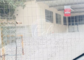 IMG_2553 2.jpg - Shed Seravezza - photo 2