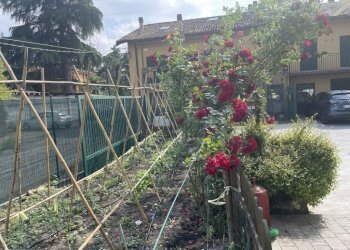 Quadrilocale Via degli Stradelli Guelfi, Bologna (zona Le Roveri) - foto 14