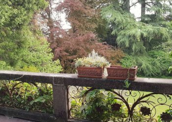 Three-room apartment Cornate d'Adda - photo 15