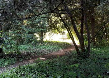 Three-room apartment Cornate d'Adda - photo 22