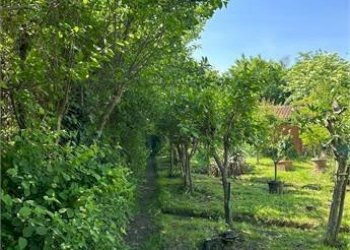 Villa Rivoli - foto 23