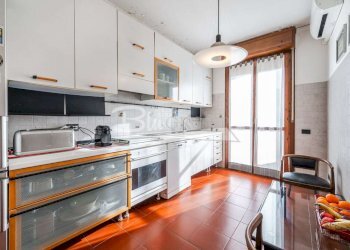 Box Carpi - photo 13