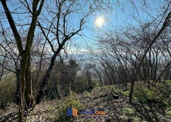 Rustic Cherasco - photo 15