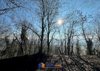 Rustic Cherasco - photo 16