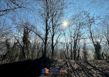 Rustico Cherasco - foto 16