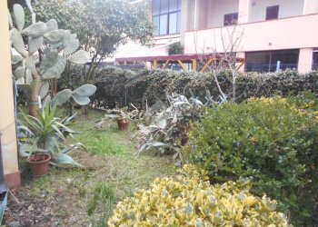 Porzione di casa Via dei Casoni, Comacchio - foto 4