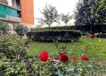 Foto 14 - Two-room apartment Via Flumendosa
 
34, Milano - photo 14