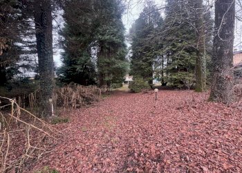 Foto 11 - Terreno edificabile Via Monte Ameno
 
17, Somma Lombardo - foto 11