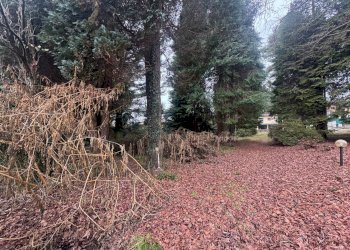 Foto 13 - Terreno edificabile Via Monte Ameno
 
17, Somma Lombardo - foto 13