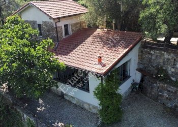 Foto 16 - Casa indipendente strada maciurina, Vallebona - foto 16