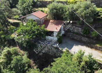 Foto 17 - Casa indipendente strada maciurina, Vallebona - foto 17