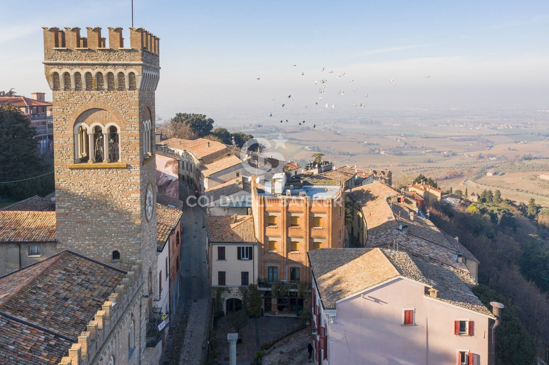 Foto 2 - Attività Commerciale Piazza della Libertà
 
8A, Bertinoro - foto 2