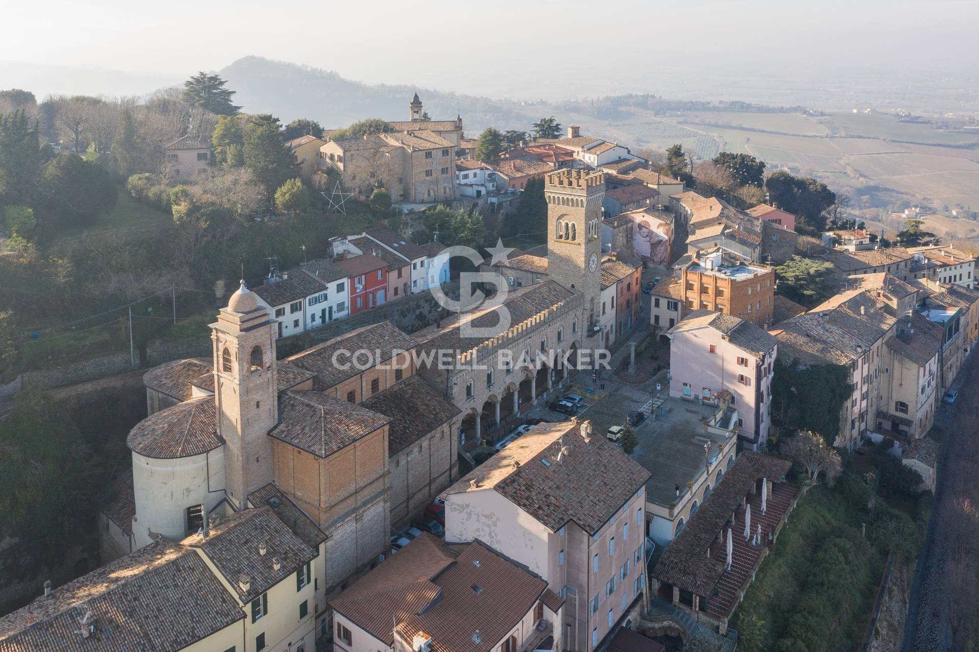 Foto 3 - Attività Commerciale Piazza della Libertà
 
8A, Bertinoro - foto 3