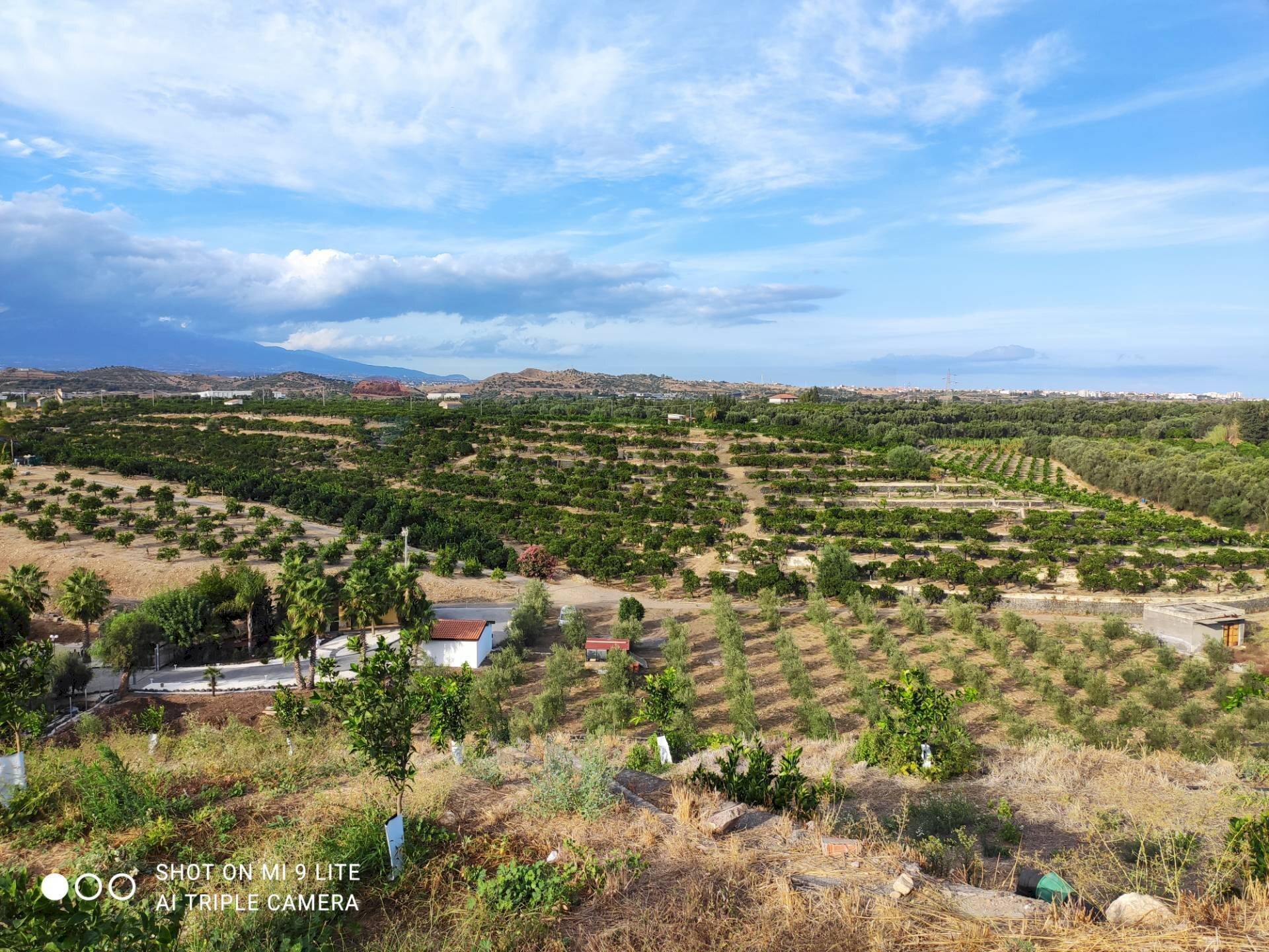Vista delle montagne - Terreno agricolo Contrada San Francesco
 
snc, Misterbianco - foto 3