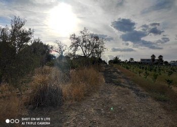 Vista delle montagne - Terreno agricolo Contrada San Francesco
 
snc, Misterbianco - foto 5