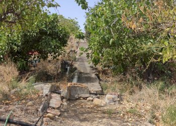 Giardino - Terreno agricolo Contrada San Francesco
 
snc, Misterbianco - foto 8