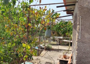 Giardino - Terreno agricolo Contrada San Francesco
 
snc, Misterbianco - foto 9