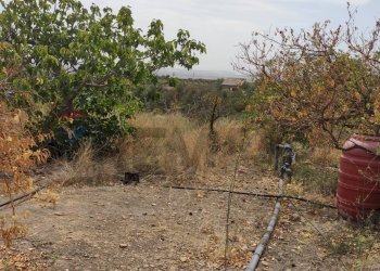 Giardino - Terreno agricolo Contrada San Francesco
 
snc, Misterbianco - foto 11