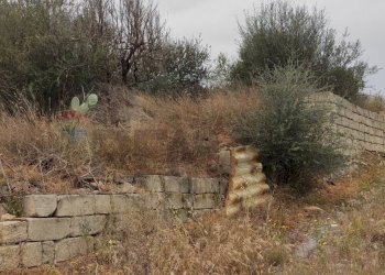 Giardino - Terreno agricolo Contrada San Francesco
 
snc, Misterbianco - foto 14