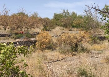 Vista delle montagne - Terreno agricolo Contrada San Francesco
 
snc, Misterbianco - foto 16