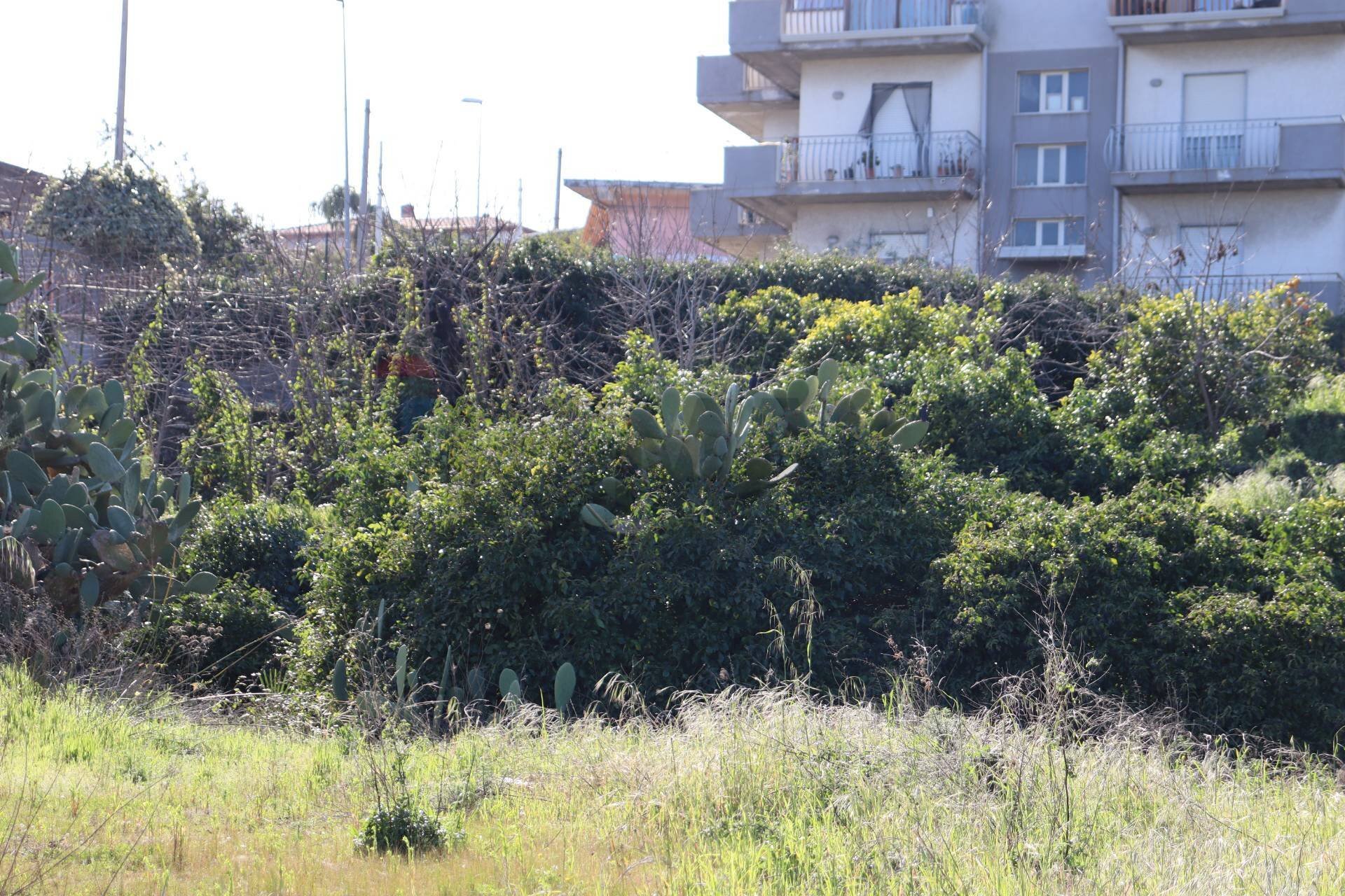 Edificio all\'aperto - Agricultural land Via Piedimonte
 
12, Mascali - photo 1