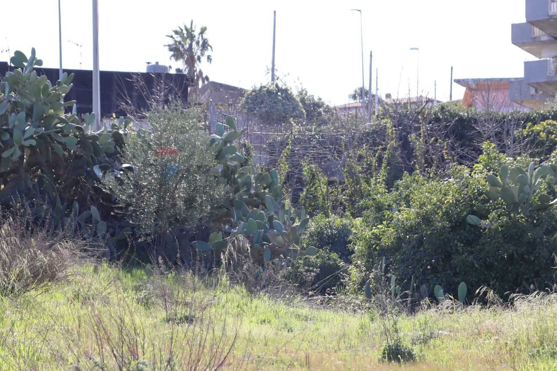 Non correlato - Agricultural land Via Piedimonte
 
12, Mascali - photo 2