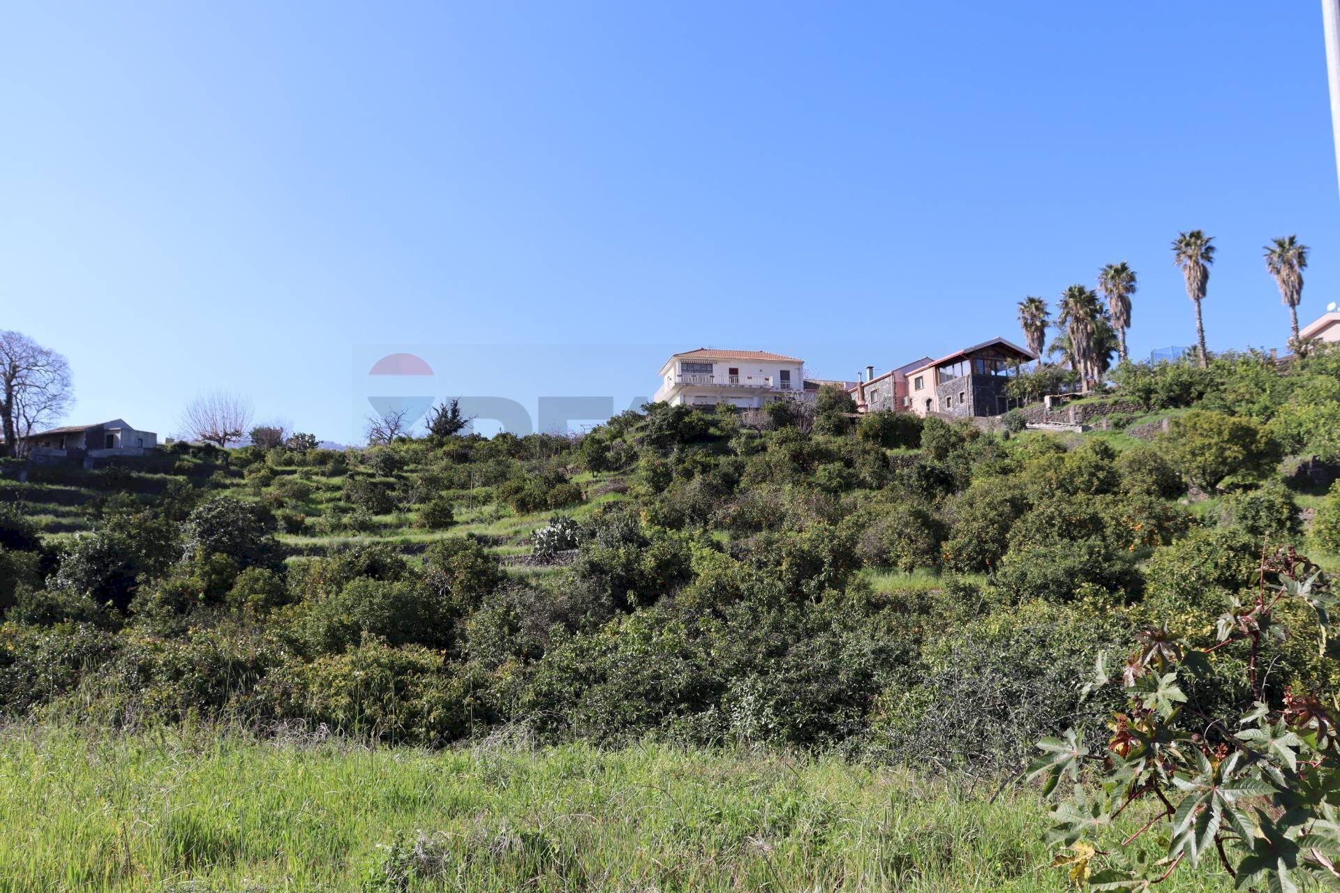 Vista delle montagne - Agricultural land Via Piedimonte
 
12, Mascali - photo 3
