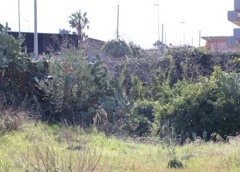 Non correlato - Agricultural land Via Piedimonte
 
12, Mascali - photo 2