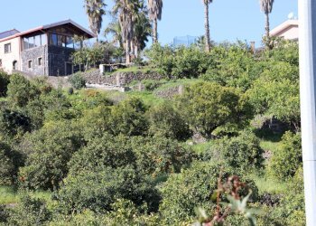 Giardino - Agricultural land Via Piedimonte
 
12, Mascali - photo 12