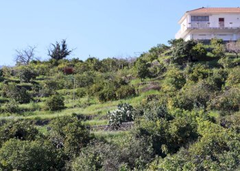 Vista delle montagne - Agricultural land Via Piedimonte
 
12, Mascali - photo 15