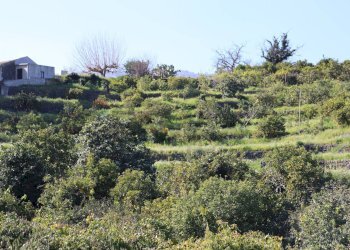 Vista delle montagne - Agricultural land Via Piedimonte
 
12, Mascali - photo 16