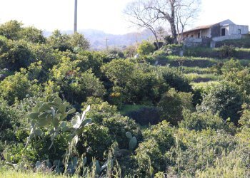Vista delle montagne - Agricultural land Via Piedimonte
 
12, Mascali - photo 17