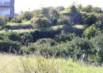 Non correlato - Agricultural land Via Piedimonte
 
12, Mascali - photo 18