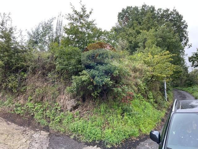 Giardino - Agricultural land contrada monachella, piano grande, Giarre - photo 2