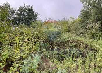 Foto 8 - Terreno agricolo contrada monachella, piano grande, Giarre - foto 8