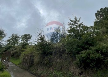 Foto 11 - Terreno agricolo contrada monachella, piano grande, Giarre - foto 11