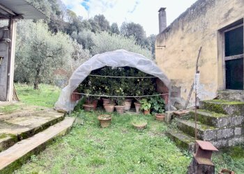 Giardino - Independent house Via Corrado Corti
 
44, Capraia e Limite - photo 66