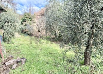 Giardino - Independent house Via Corrado Corti
 
44, Capraia e Limite - photo 67