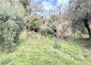 Giardino - Independent house Via Corrado Corti
 
44, Capraia e Limite - photo 68